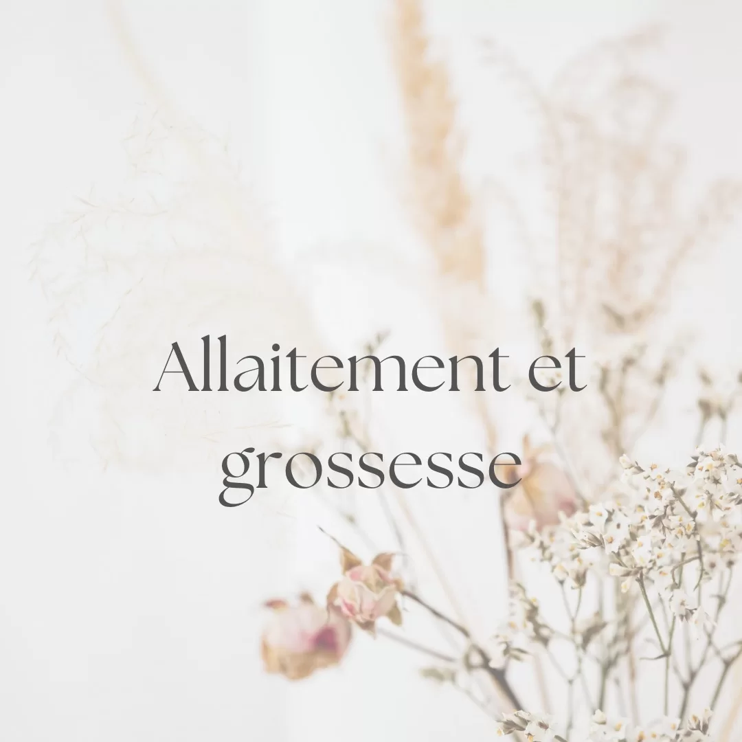 Allaitement et grossesse